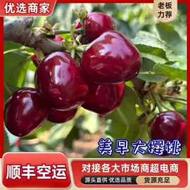 苹果;梨;车厘子/樱桃