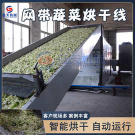 网带式脱水蔬菜烘干线 蔬菜清洗切菜脱水烘干机 蔬菜烘干整套设备