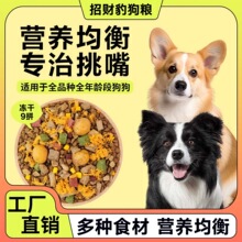 【冻干多拼犬粮】狗粮40斤装金毛拉布拉多通用型成犬幼犬粮豹