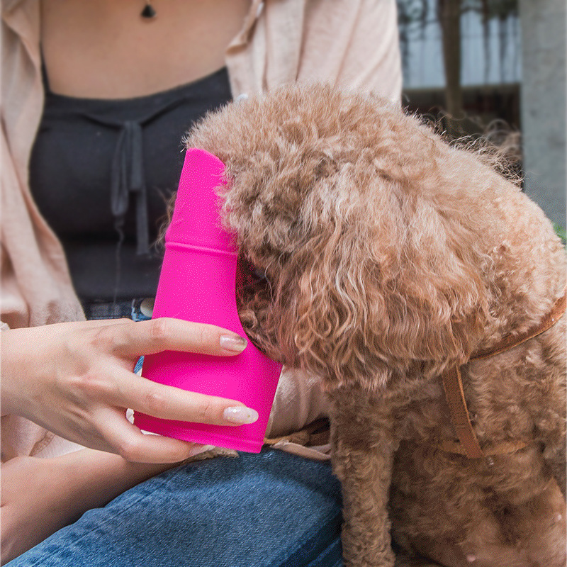 宠物随行杯  人宠物共用便携水杯  硅胶户外不锈钢狗狗猫咪饮水瓶