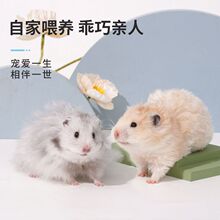 С�}������Ѵ�������w���\�ӽ�z�ܰ��ͯ�ײ���Ʒ�Rȫ