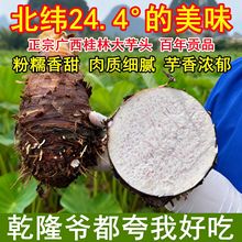 �V�����ַ�Ŵ�����^10�����r�߲�ë���^��ܵţ�̮������ڴ�����