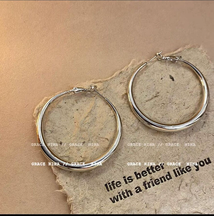 Silver 925 Earrings — Light Luxury Hoops & Drops, High-Quality Sterling, Multiple Sizes