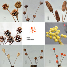 �ɻ��ɹ� ��ɫ�ɹ� �ɻ��廨�Ĕz���� �͏d����[���b���