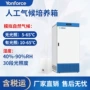 恒湿气候霉菌人工培养箱