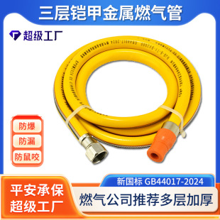 Wow Customized New National Standard 44017-2024 One Screw and One Plug Three-Layer Steel Wire Metal Liquefied Gas Connection Gas Pipe