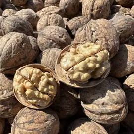 红枣干;核桃;其他果干蜜饯