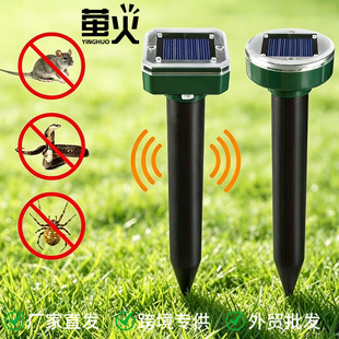 �羳̫��������ͥԺ��������������B���Bֳ�@����x�؈��
