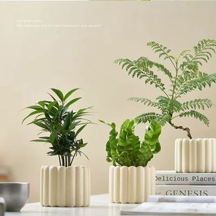 �lؔ������ֲ���҃ȿ͏d���B�k����ˮ��GֲС�辰����С���Ի���