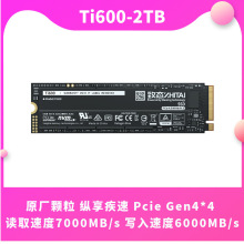 ��̬ZhiTai �����洢Ti600 500G\T\ 2TB\4TB SSD����M.2��̬Ӳ��