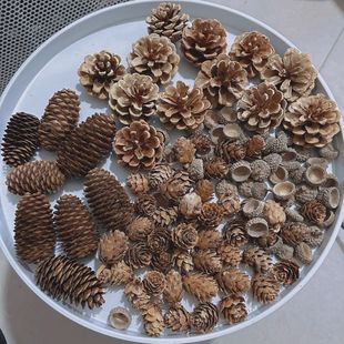 ΢���^�����ɹ��ɻ�С�ɹ��}�Q�b��׃��@�b���վ�S�ҏS��ֱ�l