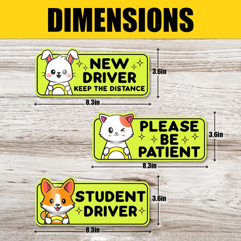 주문형 맞춤형 스타일 11