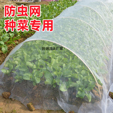 �¿���x�W�N�ˌ��þW60Ŀ���x�ּ��ܼ��W����˵ع��@�W�߲˷��B