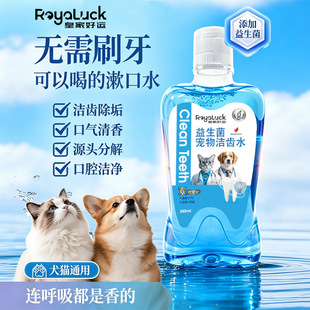 宠物口腔护理