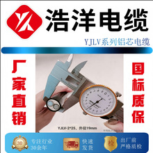 国标铝线2芯25平方 YJLV电缆 国网合格供应商