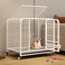 ���\��С��Ȯ���ﹷ�\̩�ϲ�Ȯ�»����ܷ���Ȯ����������Ȯ���\��