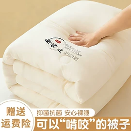 纤维被;蚊帐、床幔;四件套