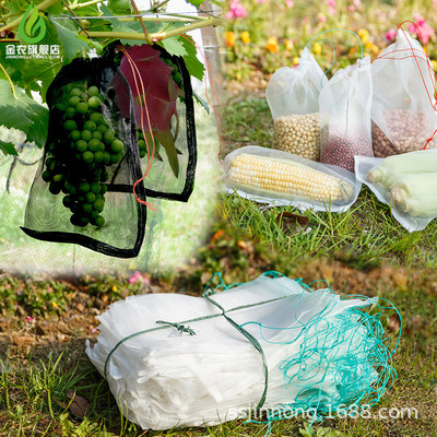 （生产供应）尼龙网袋尼龙种子袋浸种袋水果防虫袋套袋防鸟防虫袋|ru