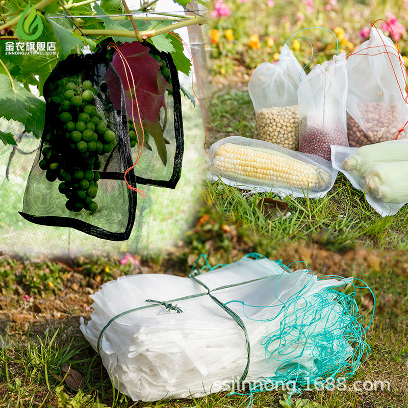 （生产供应）尼龙网袋尼龙种子袋浸种袋水果防虫袋套袋防鸟防虫袋|ru