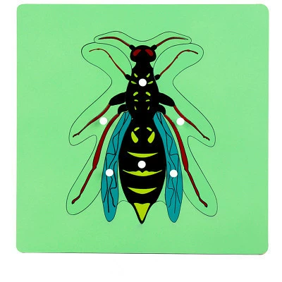 Brainteaser Montessori, teaching aids, professional smart toy