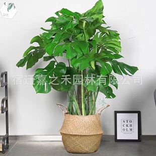 ����������҃���������~�ļ��L�໨�ܾGֲ�����ļ����B�������