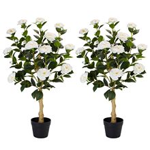 羳uGֲɽ軨҃ȹľbGҾֲ