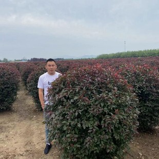 ���� �t�~���� ��֦�t�~���� �t�~����� �t�~�����͘� �L����