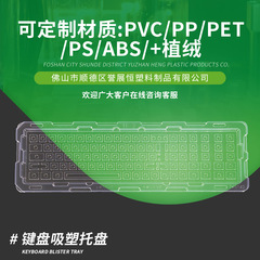 キーボードブリスターパレットのブリスターカスタム包装pet内のブリスターpvc/pet透明包装箱