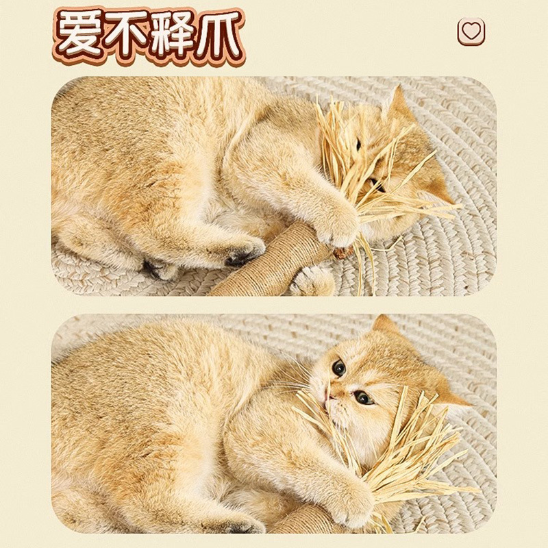 Gato juguete auto-Hola aliviar congestionado gato divertido palo Polygonum multiflorum dientes de molienda palo resistente a mordeduras gato gatito consumir la fuerza física gato suministros