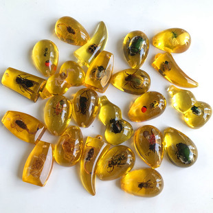 �����xҹ������˱�ä�Ѓ�ͯ�ھ򿼹ŵ�������羳؛Դ�S�����l