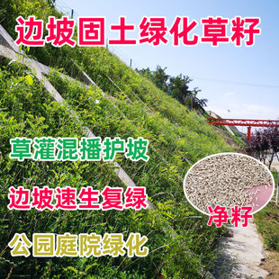 ��ƺ�N�ӹ����o�²���߅�¾G���ļ������ͺ��ͺ�����é�����݃���