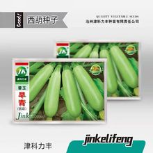 西葫蘆種子高產耐寒四季易種植家庭陽台盆栽蔬菜籽 香蕉瓜種子