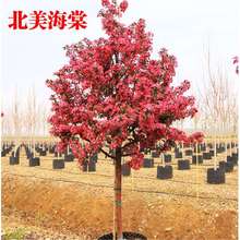 Ęz绨ܷNľߗUԺͥԺͺֲ