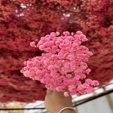 ���5000ƽ�����M���ǹ��S�F؛ֱ���M�����������ɻ����l�Ҿӻ���