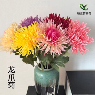 ��֧��צ�շ��滨�Wʽ�͏d�[��ǧ�Ӿռٻ���z�տ羳���Q���l�ջ�
