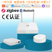 �羳���N�T�f����Zigbee�����о��W�Pȫ�����ܼ�ͥ�Ип��ƾW�P