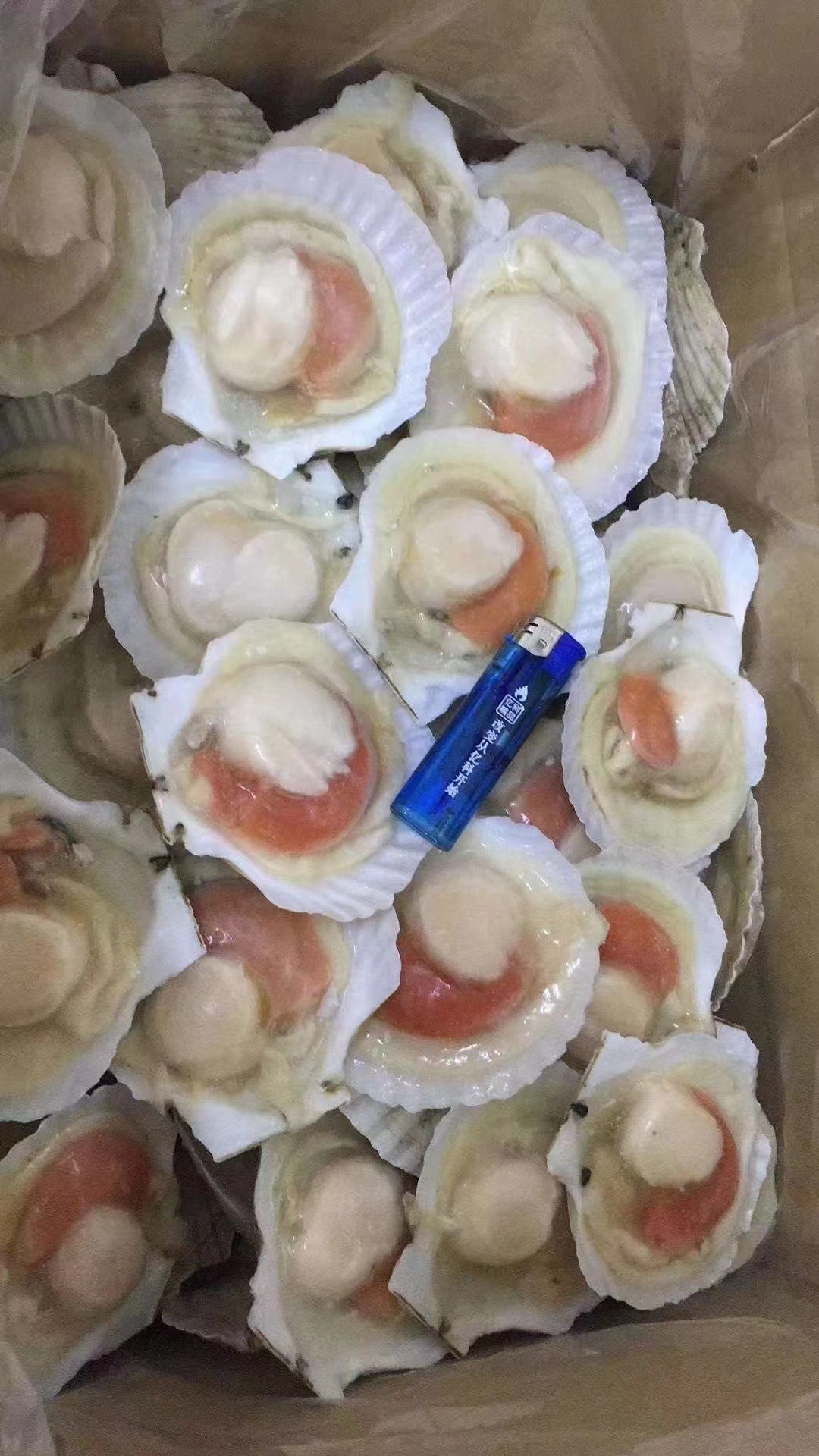 微信图片_20220707191652