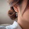 Fashionable retro small design earrings with tassels from pearl, double wear, simple and elegant design, trend of season