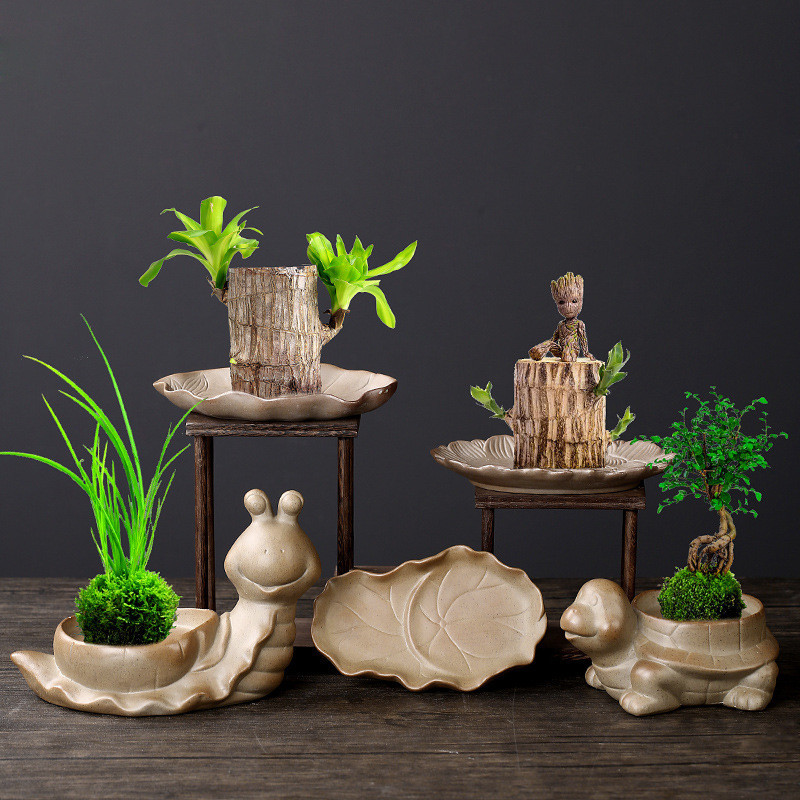 Brazilian Wood Lucky Wood Plant Ceramic Special Tray Coarse Pottery Tray Creative Water Tray Succulent Flower Pot Base Bottom Pad