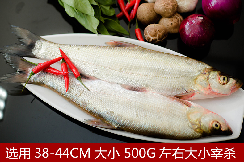 正宗湖北阳干刁子鱼大白刁翘嘴鱼风干鱼荆州松滋特产-阿里巴巴