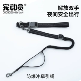 狗狗窝/笼/垫;猫猫窝/笼/垫;狗狗牵引