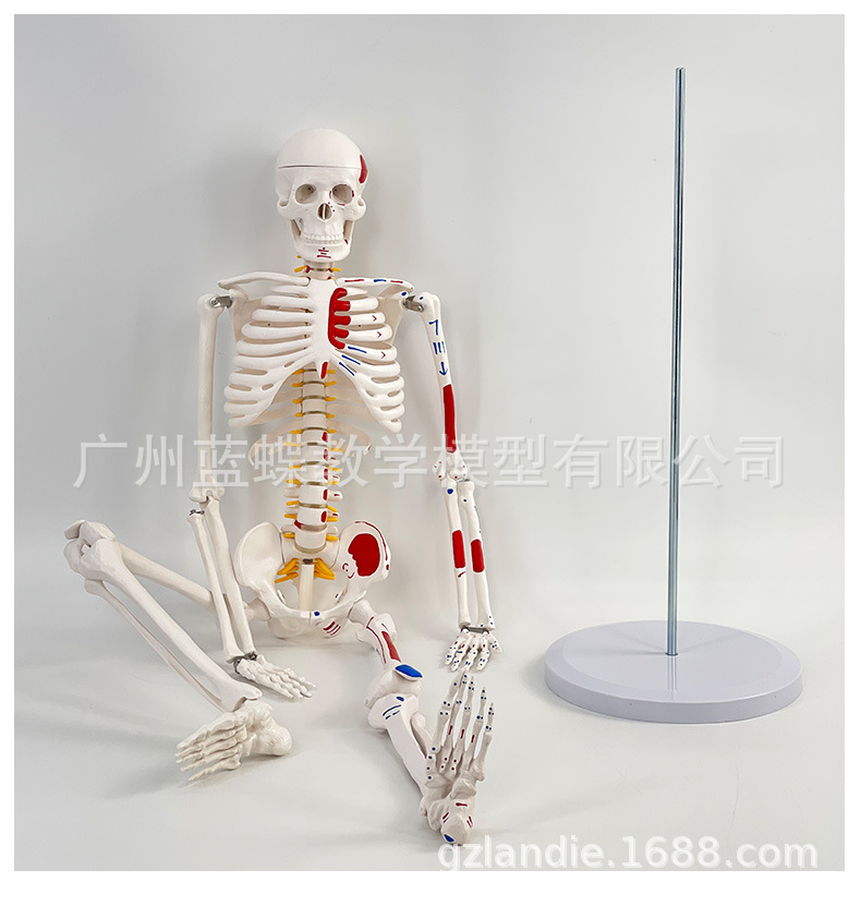 详情_29