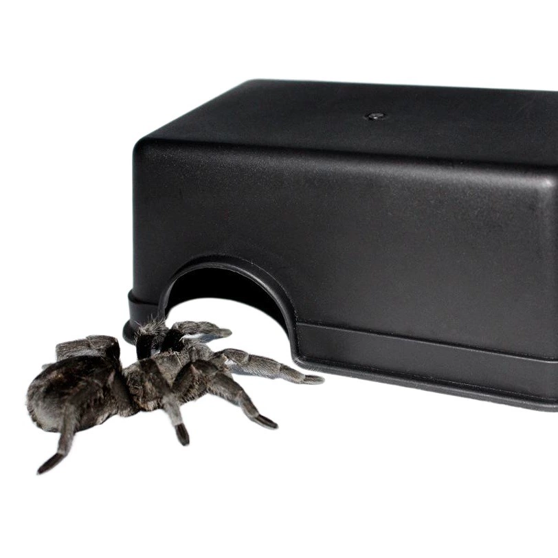 Крупный рогатый скот маленький альпинистский питомец рептилия Избегайте Дворцовой игрушки змея лягушка глаз ящерица пещера паук скорпион многоножка специальное отверстие