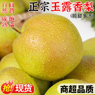 ������¶�������r���Ӵ���O���殔���Fժˮ���t������������