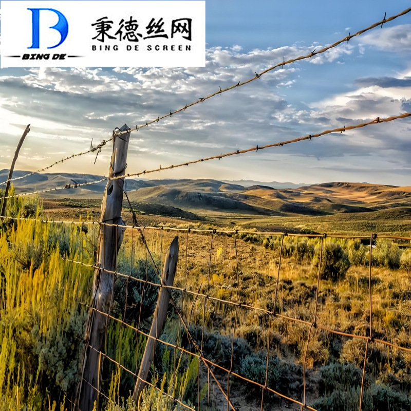 钢丝刺绳铁蒺藜隔离护栏防护网围墙防爬刺防盗刺刺防锈铁丝网围栏