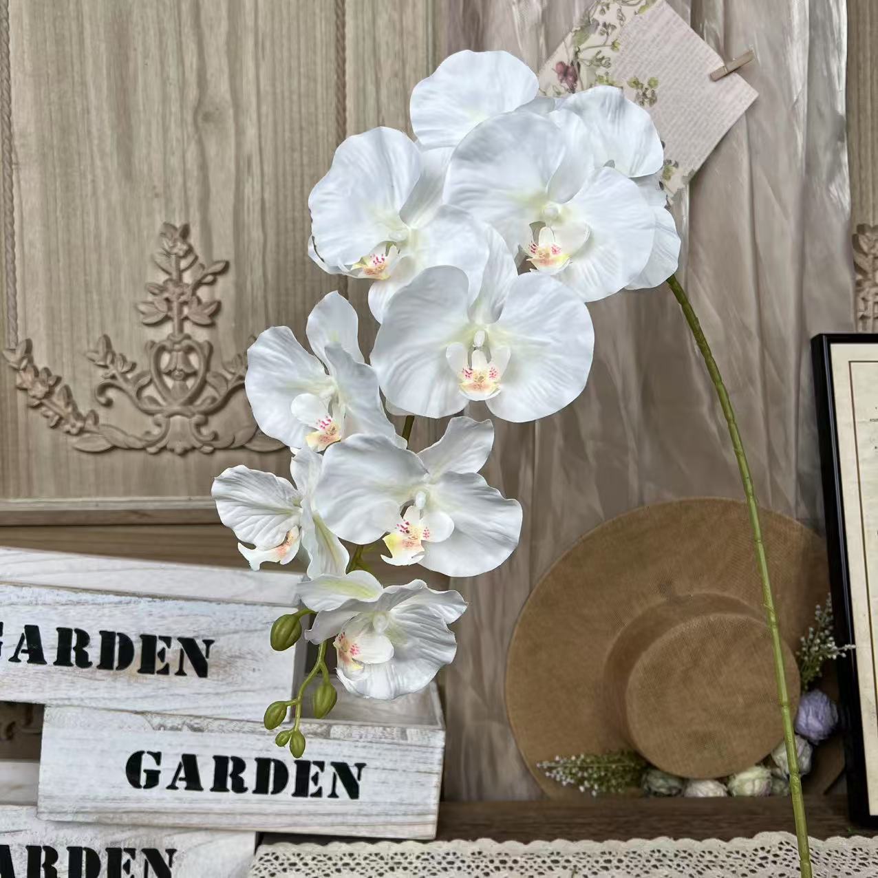MJ-9 Phalaenopsis-Branco
