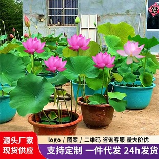 ɏź�N����ɻ�������ˮ�Bɏ������ʳ�ó����^�p˯ɏˮ����ɏ�Nź