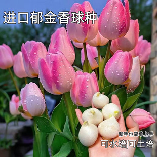 �¿����������Ի���ˮ�����B�ͺ��҃����̨�r��ֲ��������N��