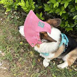 宠物外出防晒多巴胺色系宠物遮阳帽宠物渔夫帽柯基柴犬可调节帽子