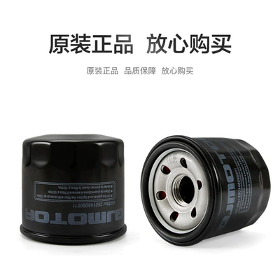 Air filter 800 QJ800GS-G oil filter